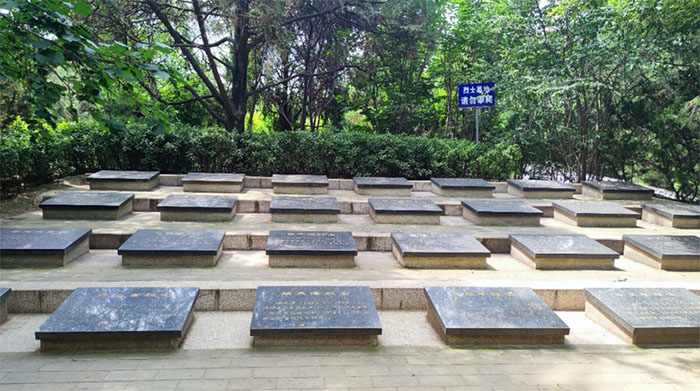 探索合陽經驗，助推文化振興