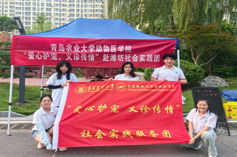青島農業大學“愛心護寵，義診傳情”社會實踐服務團：攜手共筑愛寵家園 并肩共繪和諧
