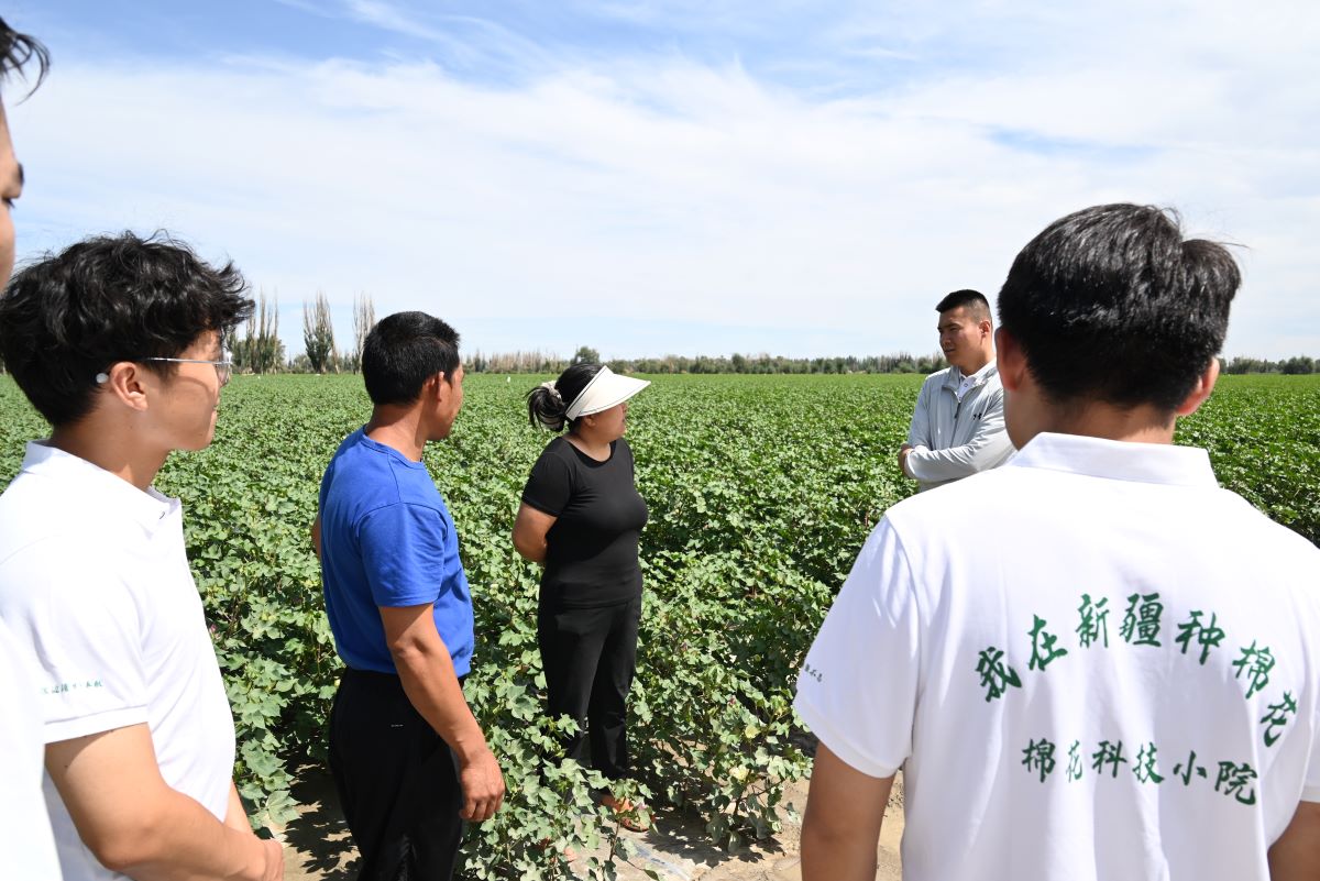豐盈田園·高值作物培育之旅 ——塔里木大學暑期三下鄉總結