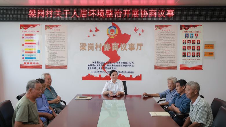 “黨建引領聚合力 青春賦能治梁崗”——合肥大學“冶父‘青’風起，梁崗‘振’當時”實踐團隊赴梁崗村開展黨建引領基層治理調研