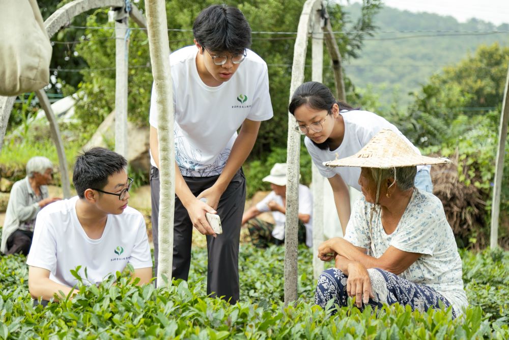 茶韻悠悠，青春筑夢；山香裊裊，智慧助農(nóng)