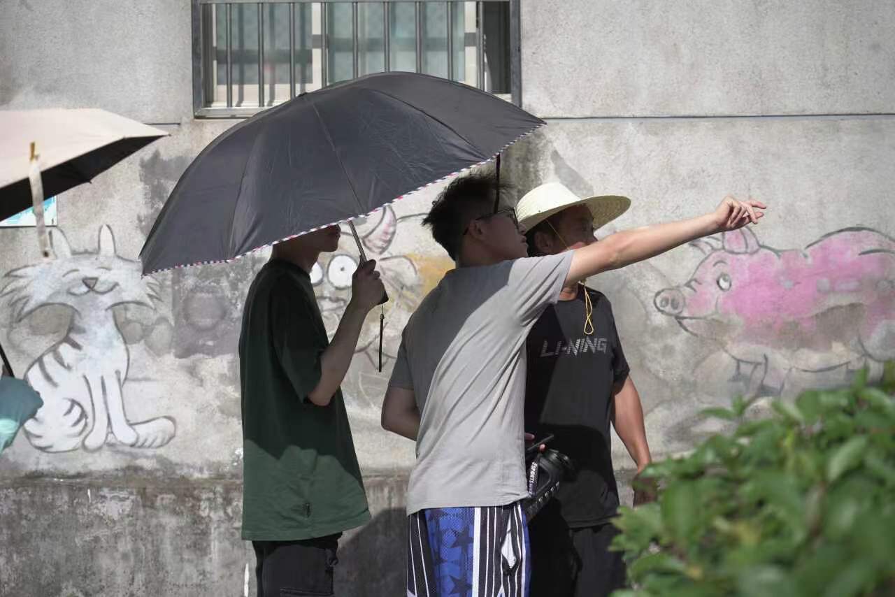 浙江工商大學暑期社會實踐團實地考察墻繪內容并向村民宣傳八八戰略