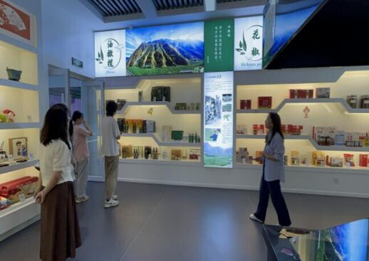 “隴上江南”實踐團踏足隴南電商尋蹤跡，一線調研實踐求真