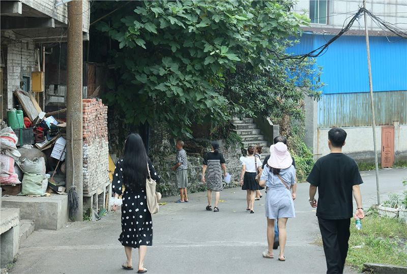 杉木樹下話振興，德田村頭繪新景——西財(cái)學(xué)子三下鄉(xiāng)調(diào)研紀(jì)實(shí)