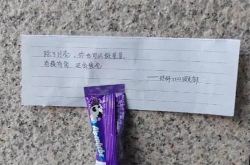 構建幸福校園，彰顯文明之風