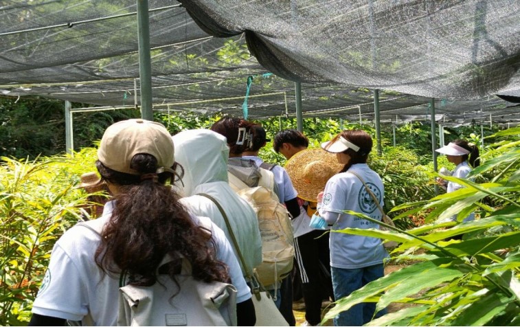 青年腳踏借鑒路，陽春砂仁香滿懷