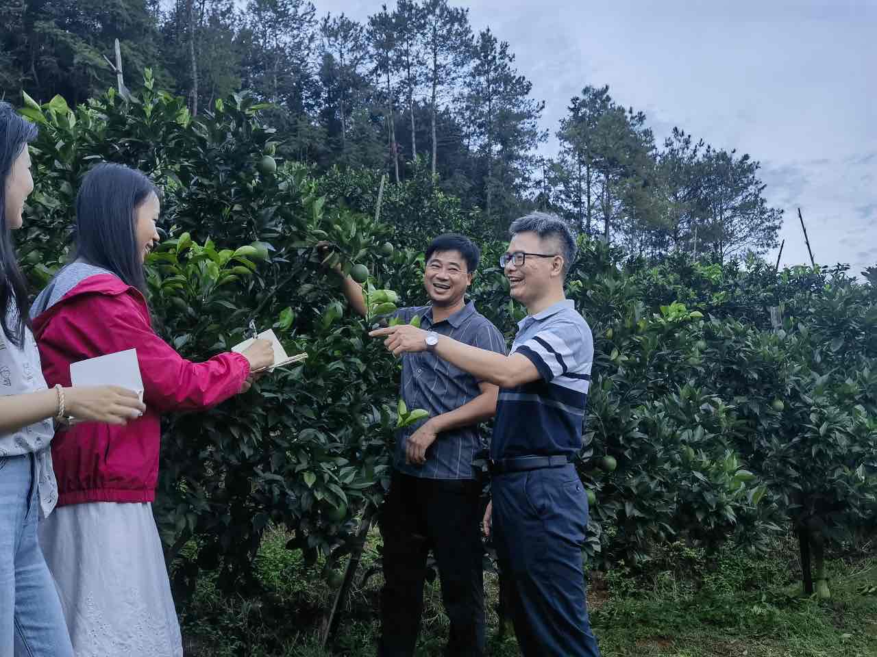扶貧振興繪“南”圖，詩和遠方伴“橙”香
