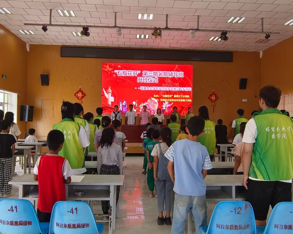 南疆學子三下鄉:懷青春之志，助鄉村振興